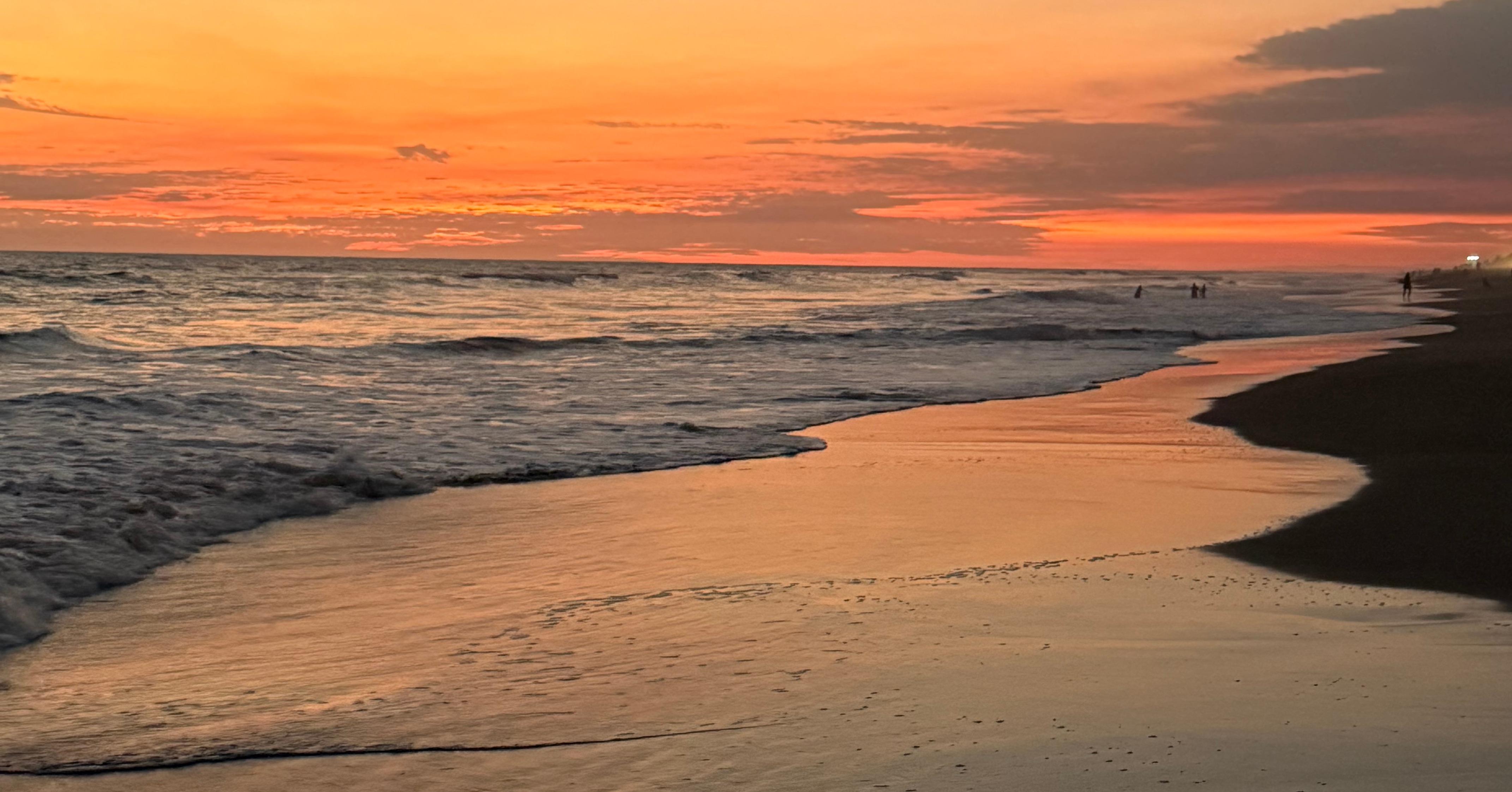 the ebb